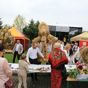 Fot. Tomasz Kozłowski